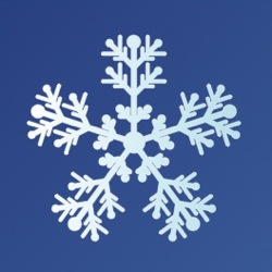 (snowflake-fake1.jpg)