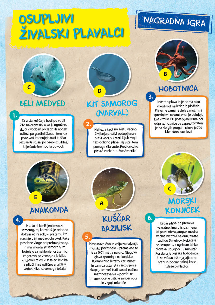 Zivalski plavalci - nagradna igra
