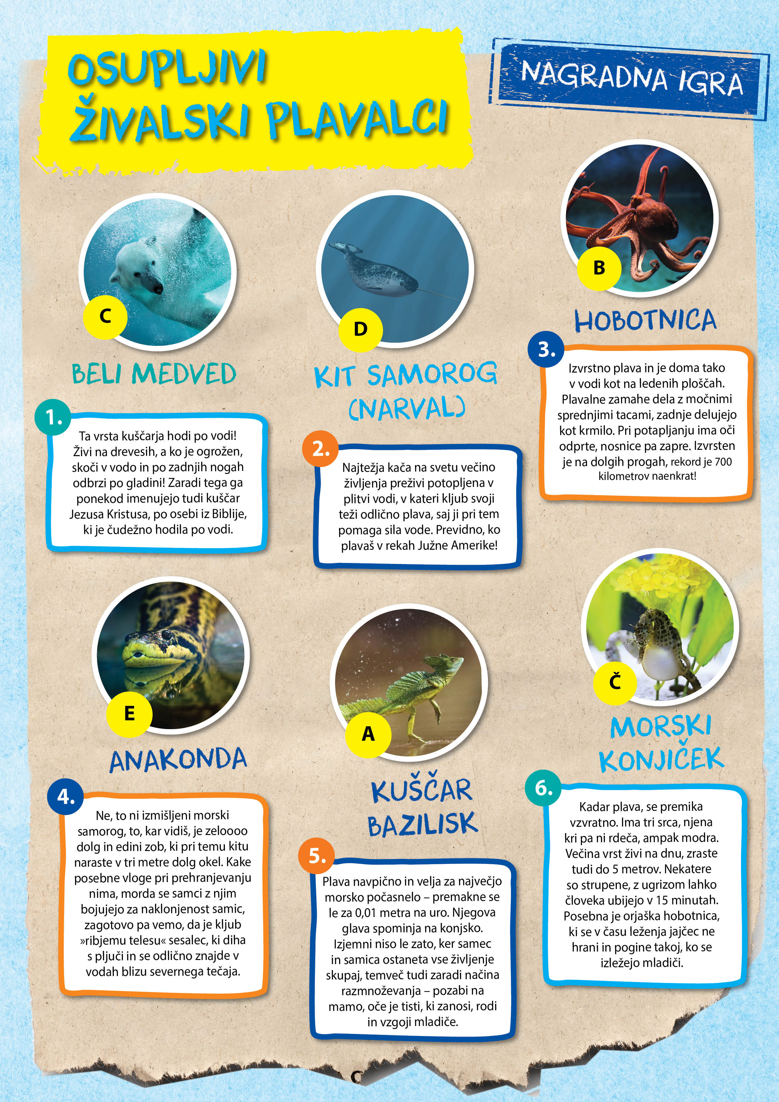 nagradna igra Živalski plavalci