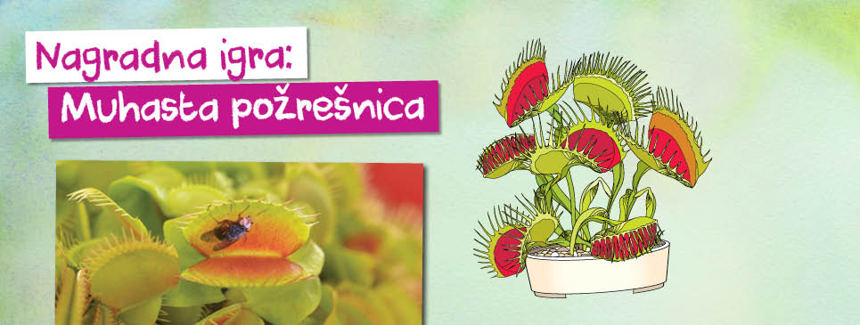 december-nagradna igra