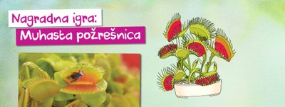 december-nagradna igra