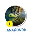 anakonda