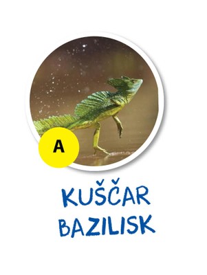 bazilisk