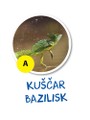bazilisk