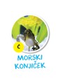 morski_konjicek